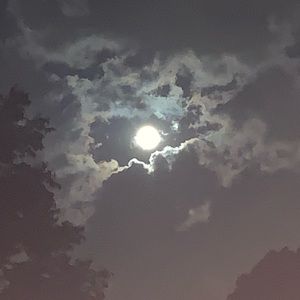 Meet your Posher, Jaime